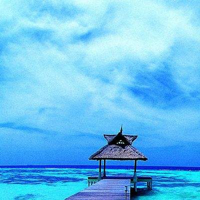 49图库资料免费大全资料澳门