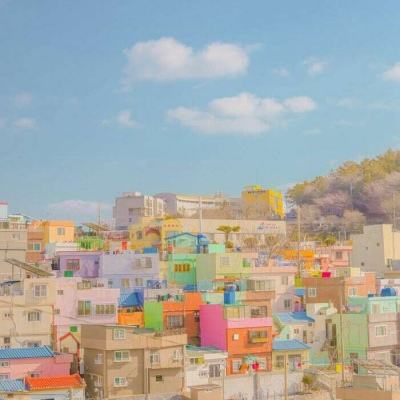 全民彩票手机app下载